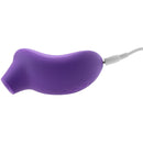 LELO Sona Cruise 2 — Ondas Sônicas Que Não Recuam
