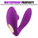 Wellness Secreto — Vibrador Vestível de 20 Modos