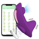 Wellness Conexão — Sugador com App à Distância